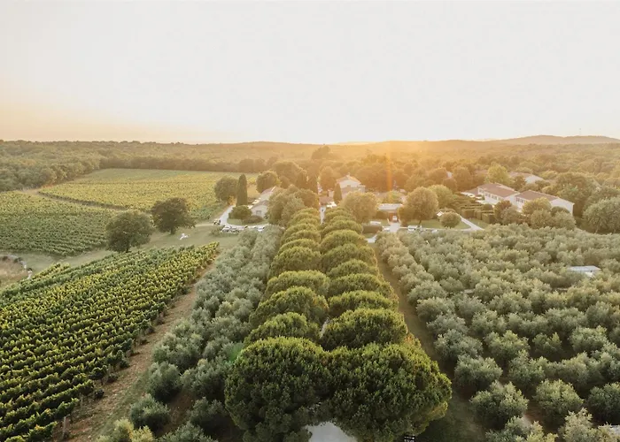 Meneghetti Wine &Winery - Relais&Chateaux